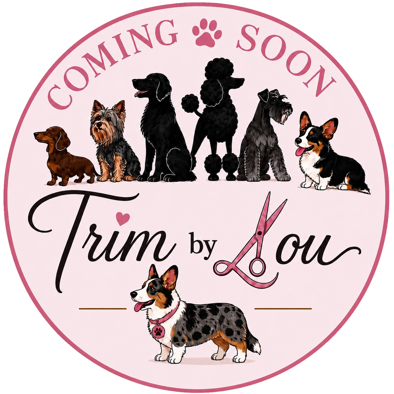 Trim by Lou coming soon logo